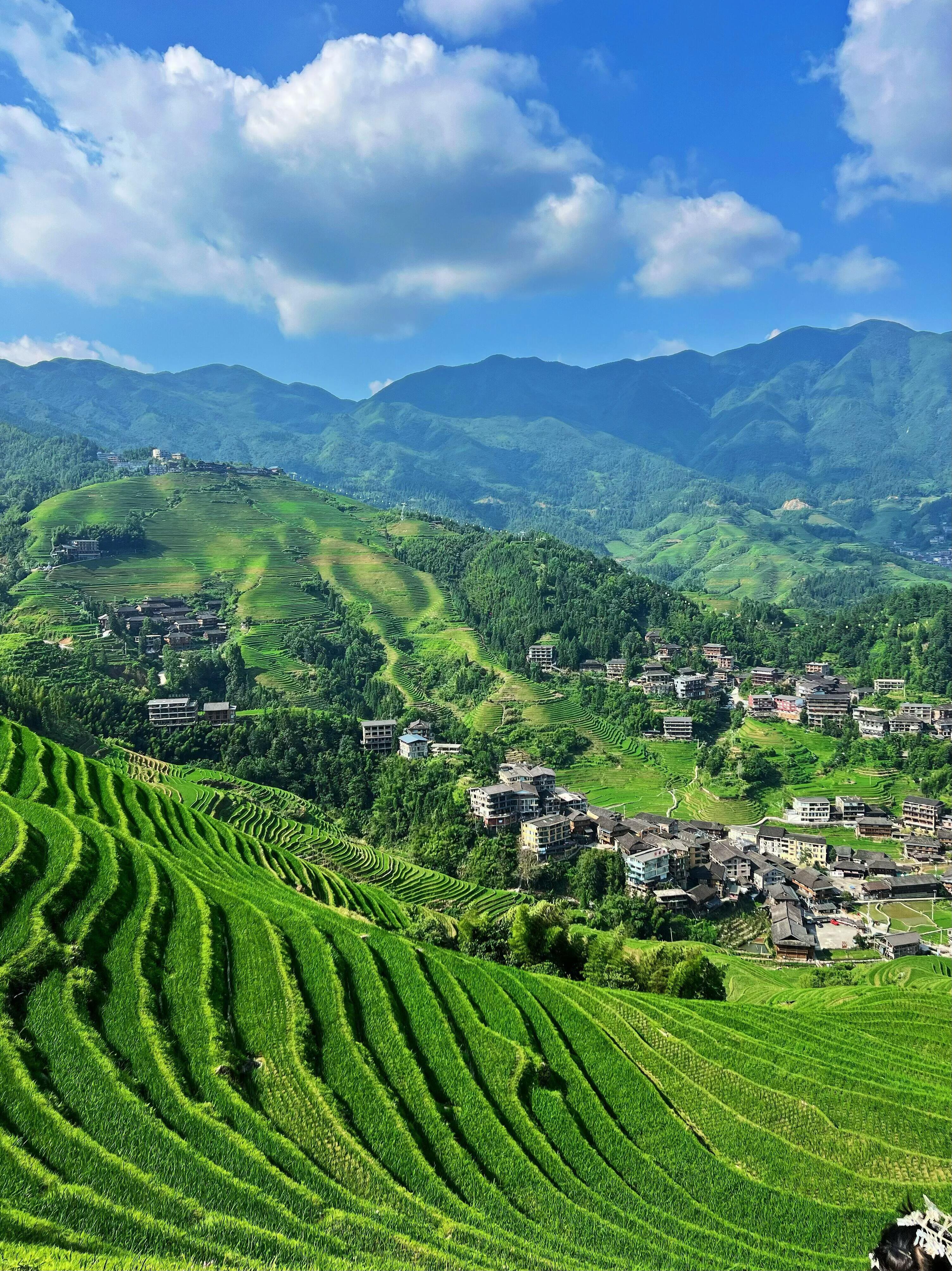 Longji Rice Terraces Day Tour