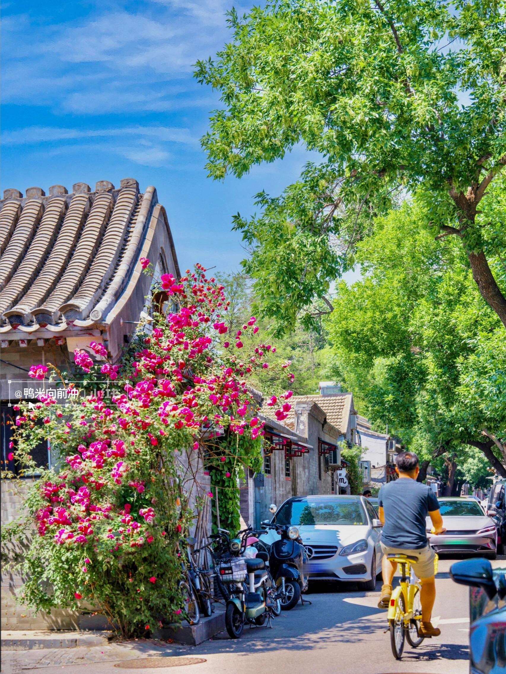 Museums and Hutong Culture